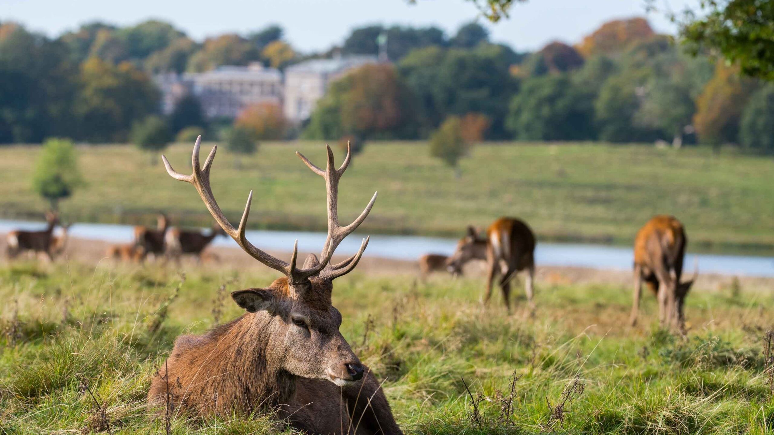 tatton park cheshire